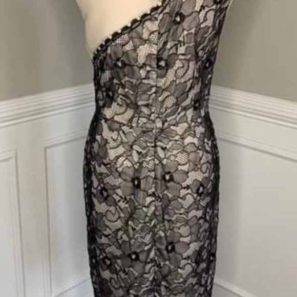 Erin Fetherston Cream and Black Lace Dress NWT size 8 - Picture 2 of 3